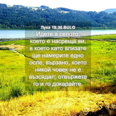 Picture 04 - Лука 19:30 BULG - Идете в селото, което е - Bible Verse Picture