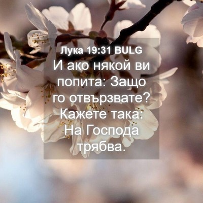 Picture 04 - Лука 19:31 BULG - И ако някой ви попита: Защо - Bible Verse Picture