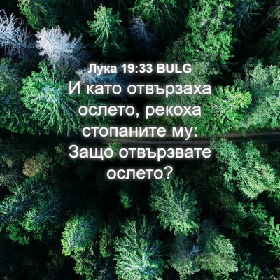 Picture 04 - Лука 19:33 BULG - И като отвързаха ослето, - Bible Verse Picture