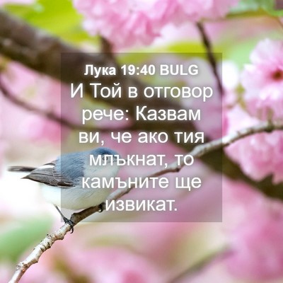 Picture 04 - Лука 19:40 BULG - И Той в отговор рече: - Bible Verse Picture