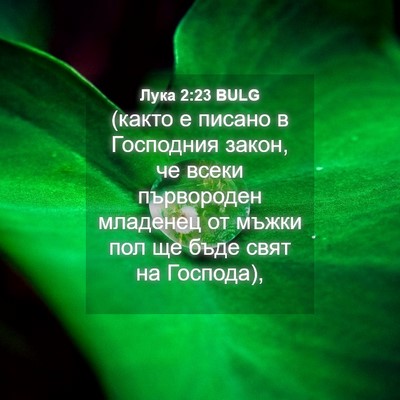 Picture 04 - Лука 2:23 BULG - (както е писано в Господния - Bible Verse Picture