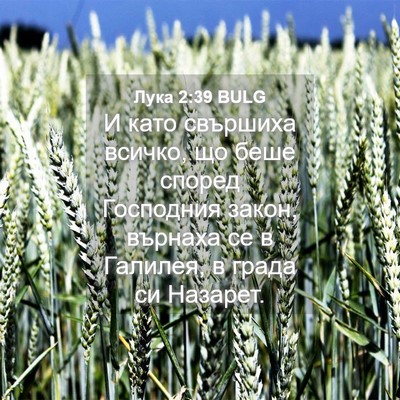 Picture 04 - Лука 2:39 BULG - И като свършиха всичко, що - Bible Verse Picture