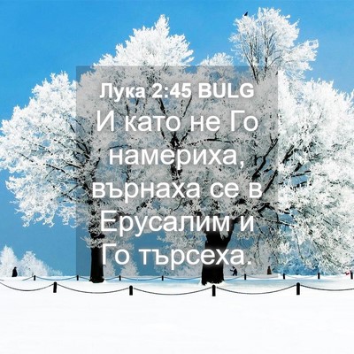 Picture 04 - Лука 2:45 BULG - И като не Го намериха, - Bible Verse Picture