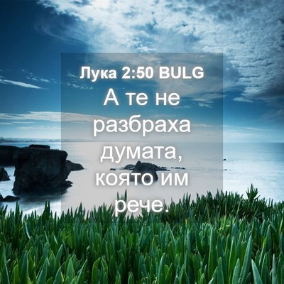 Picture 04 - Лука 2:50 BULG - А те не разбраха думата, - Bible Verse Picture