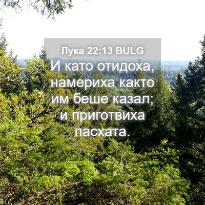 Picture 04 - Лука 22:13 BULG - И като отидоха, намериха - Bible Verse Picture