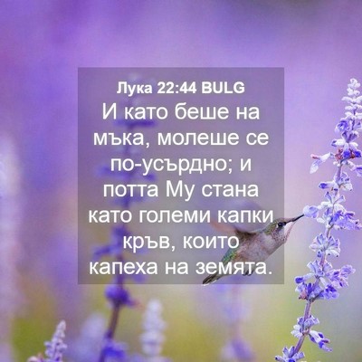 Picture 04 - Лука 22:44 BULG - И като беше на мъка, молеше - Bible Verse Picture