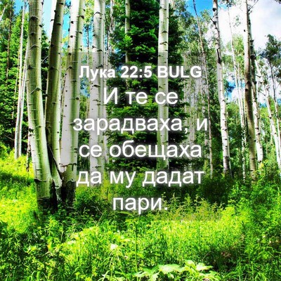 Picture 04 - Лука 22:5 BULG - И те се зарадваха, и се - Bible Verse Picture
