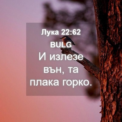 Picture 04 - Лука 22:62 BULG - И излезе вън, та плака - Bible Verse Picture