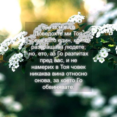 Picture 04 - Лука 23:14 BULG - Доведохте ми Тоя човек - Bible Verse Picture