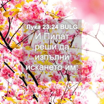 Picture 04 - Лука 23:24 BULG - И Пилат реши да изпълни - Bible Verse Picture