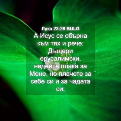 Picture 04 - Лука 23:28 BULG - А Исус се обърна към тях и - Bible Verse Picture