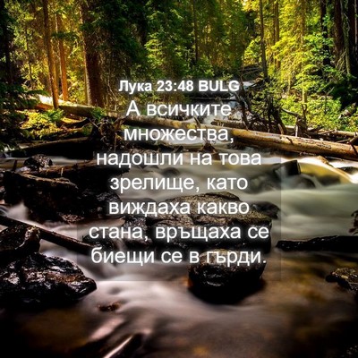 Picture 04 - Лука 23:48 BULG - А всичките множества, - Bible Verse Picture