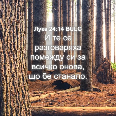 Picture 04 - Лука 24:14 BULG - И те се разговаряха - Bible Verse Picture