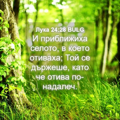 Picture 04 - Лука 24:28 BULG - И приближиха селото, в - Bible Verse Picture