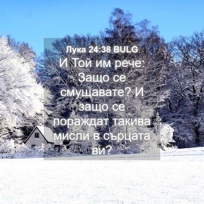 Picture 04 - Лука 24:38 BULG - И Той им рече: Защо се - Bible Verse Picture