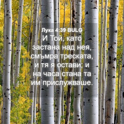 Picture 04 - Лука 4:39 BULG - И Той, като застана над нея, - Bible Verse Picture