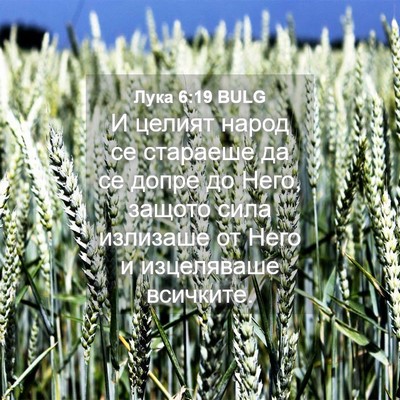 Picture 04 - Лука 6:19 BULG - И целият народ се стараеше - Bible Verse Picture