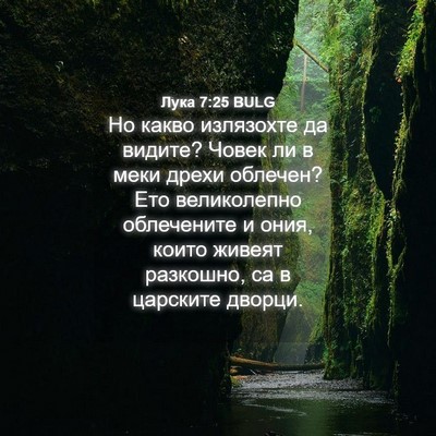 Picture 04 - Лука 7:25 BULG - Но какво излязохте да - Bible Verse Picture
