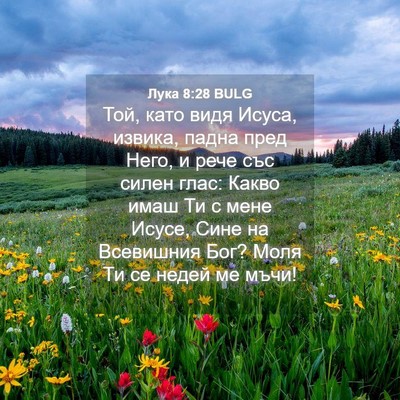 Picture 04 - Лука 8:28 BULG - Той, като видя Исуса, - Bible Verse Picture