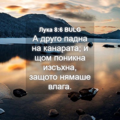 Picture 04 - Лука 8:6 BULG - А друго падна на канарата; - Bible Verse Picture