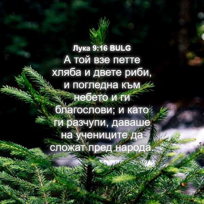 Picture 04 - Лука 9:16 BULG - А той взе петте хляба и - Bible Verse Picture