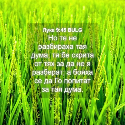 Picture 04 - Лука 9:45 BULG - Но те не разбираха тая - Bible Verse Picture