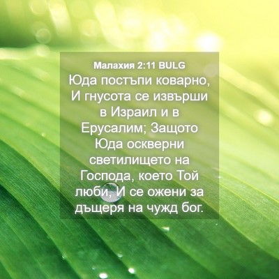 Picture 04 - Малахия 2:11 BULG - Юда постъпи коварно, И - Bible Verse Picture
