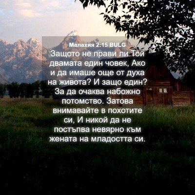 Picture 04 - Малахия 2:15 BULG - Защото не прави ли Той - Bible Verse Picture
