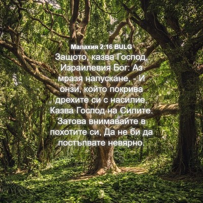 Picture 04 - Малахия 2:16 BULG - Защото, казва Господ, - Bible Verse Picture