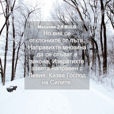Picture 04 - Малахия 2:8 BULG - Но вие се отклонихте от - Bible Verse Picture