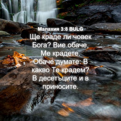 Picture 04 - Малахия 3:8 BULG - Ще краде ли човек Бога? Вие - Bible Verse Picture