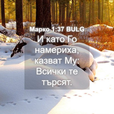Picture 04 - Марко 1:37 BULG - И като Го намериха, казват - Bible Verse Picture