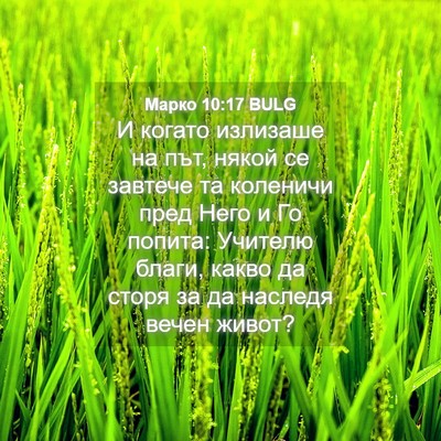 Picture 04 - Марко 10:17 BULG - И когато излизаше на път, - Bible Verse Picture
