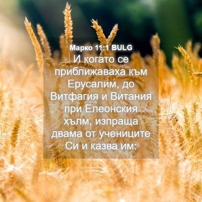 Picture 04 - Марко 11:1 BULG - И когато се приближаваха - Bible Verse Picture