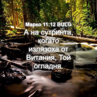 Picture 04 - Марко 11:12 BULG - А на сутринта, когато - Bible Verse Picture
