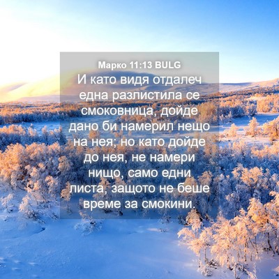 Picture 04 - Марко 11:13 BULG - И като видя отдалеч една - Bible Verse Picture