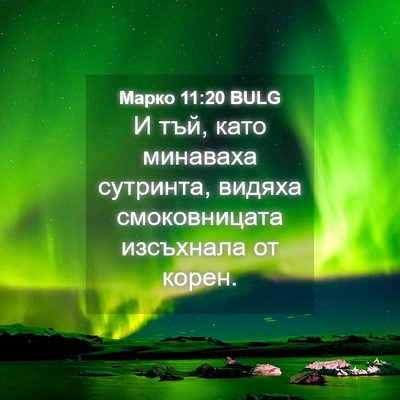 Picture 04 - Марко 11:20 BULG - И тъй, като минаваха - Bible Verse Picture