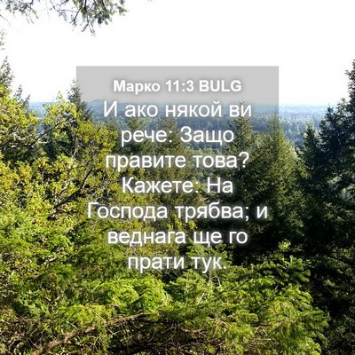 Picture 04 - Марко 11:3 BULG - И ако някой ви рече: Защо - Bible Verse Picture