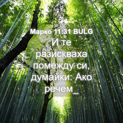 Picture 04 - Марко 11:31 BULG - И те разискваха помежду си, - Bible Verse Picture