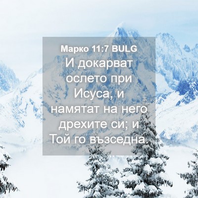 Picture 04 - Марко 11:7 BULG - И докарват ослето при - Bible Verse Picture
