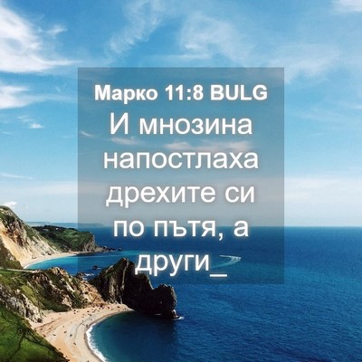 Picture 04 - Марко 11:8 BULG - И мнозина напостлаха - Bible Verse Picture