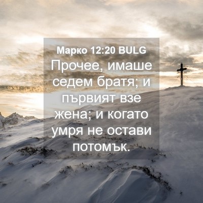Picture 04 - Марко 12:20 BULG - Прочее, имаше седем братя; - Bible Verse Picture