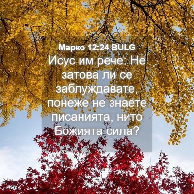 Picture 04 - Марко 12:24 BULG - Исус им рече: Не затова ли - Bible Verse Picture