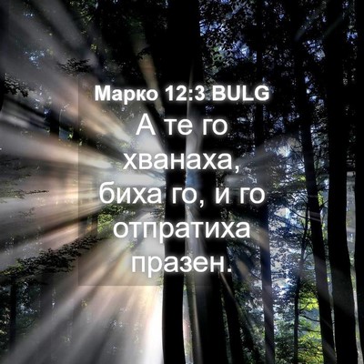 Picture 04 - Марко 12:3 BULG - А те го хванаха, биха го, и - Bible Verse Picture