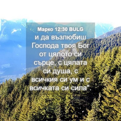 Picture 04 - Марко 12:30 BULG - и да възлюбиш Господа твоя - Bible Verse Picture
