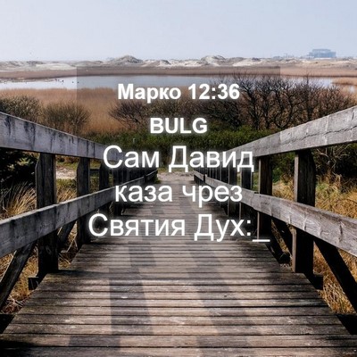 Picture 04 - Марко 12:36 BULG - Сам Давид каза чрез Святия - Bible Verse Picture