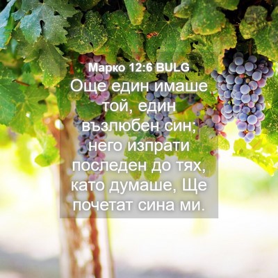 Picture 04 - Марко 12:6 BULG - Още един имаше той, един - Bible Verse Picture