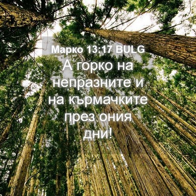 Picture 04 - Марко 13:17 BULG - А горко на непразните и на - Bible Verse Picture