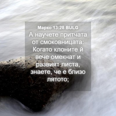 Picture 04 - Марко 13:28 BULG - А научете притчата от - Bible Verse Picture