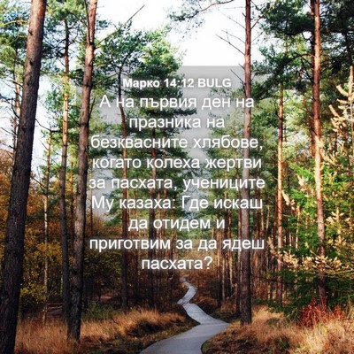 Picture 04 - Марко 14:12 BULG - А на първия ден на празника - Bible Verse Picture